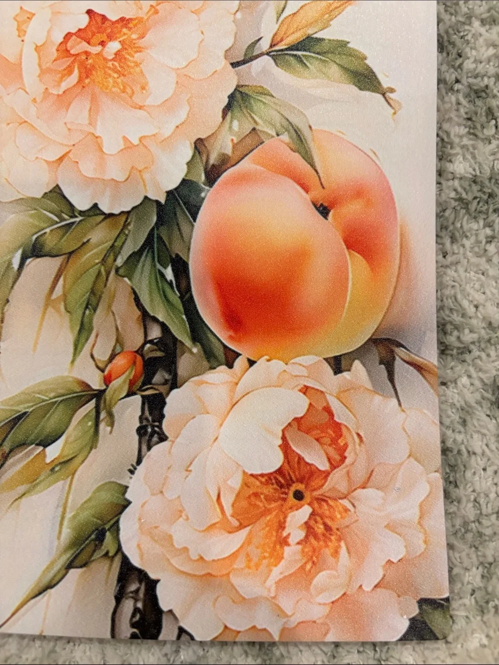 Peach Floral Spiral Writers Journal Notebook NWT 6x8.5”